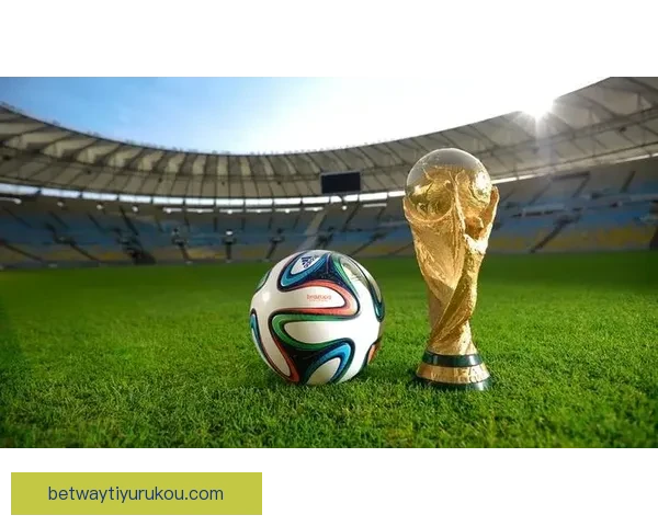 世界杯投注指南揭秘最全投注策略助你精准预测赛事结果